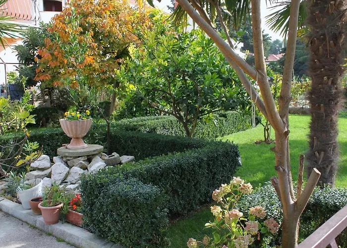 - Diklo 5880d Apartment